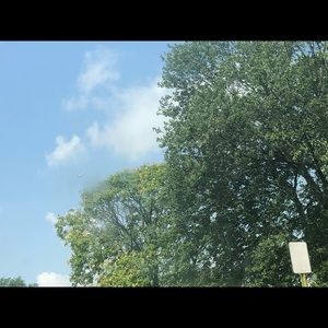 Meet your Posher, Carmen